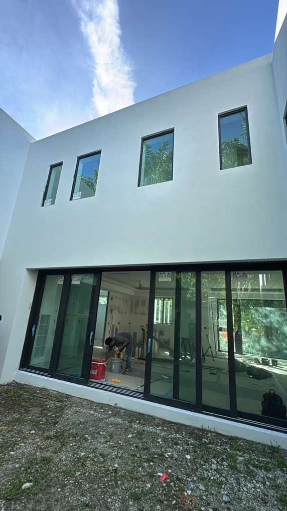 Detail Window Cleaners project photo 5