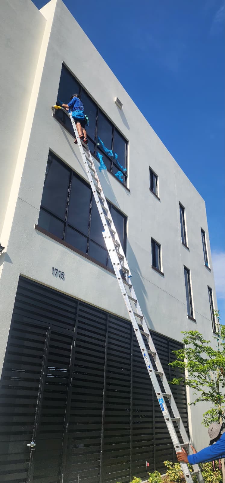 Detail Window Cleaners project photo 3