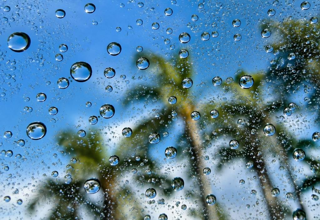 Ceramic Sealant & Water Repellent